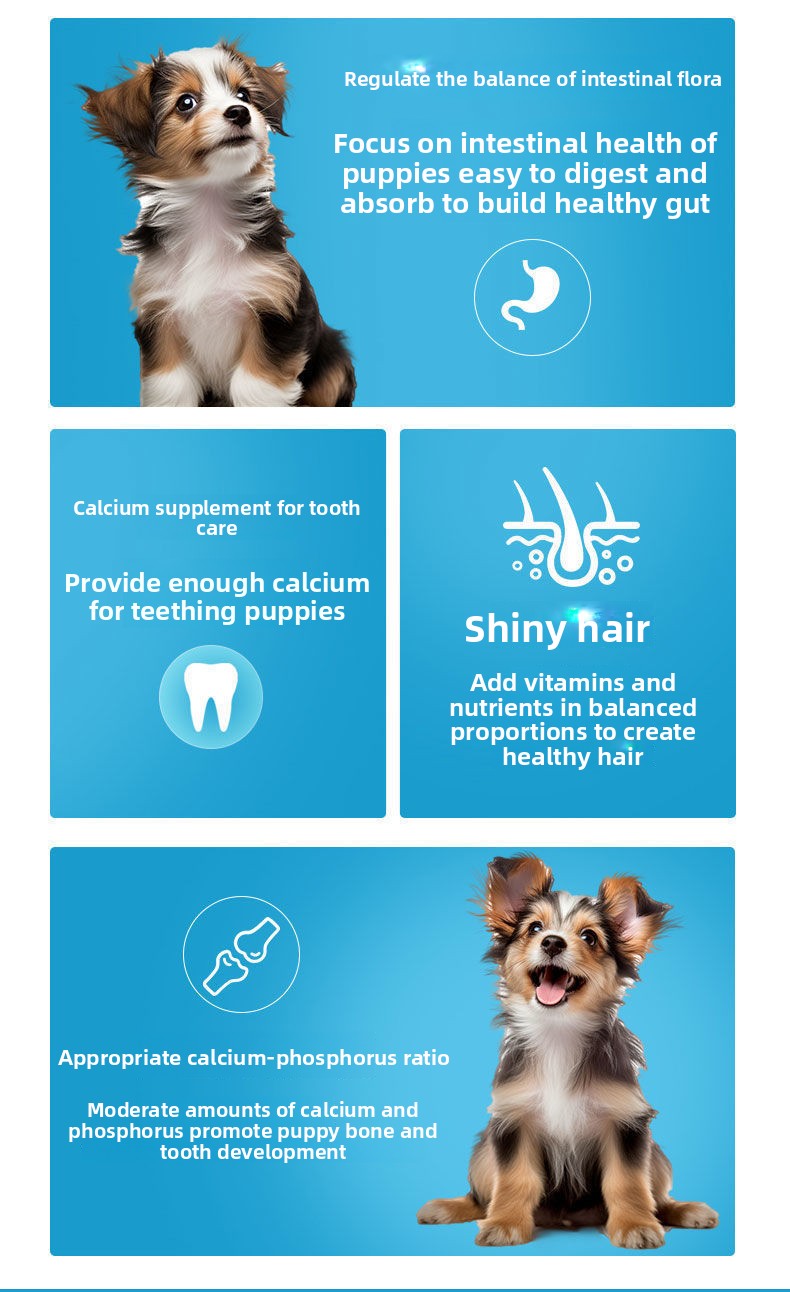 Puppy-Specific Dog Food Milk Cake Small Kibble for Small Breeds Teddy Puppy Food Golden Retriever Puppy Food Wholesale
