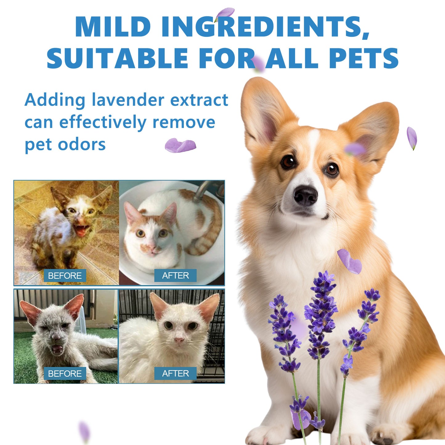 Yegbong Leave-In Pet Essence - For Fluffy, Fragrant Cat & Dog Hair