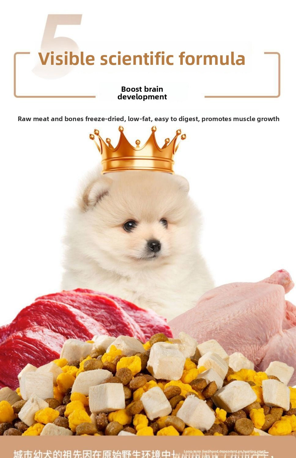 Puppy-Specific Dog Food Milk Cake Small Kibble for Small Breeds Teddy Puppy Food Golden Retriever Puppy Food Wholesale