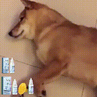 Yegbong Leave-In Essence for Fluffy & Fragrant Pet Hair