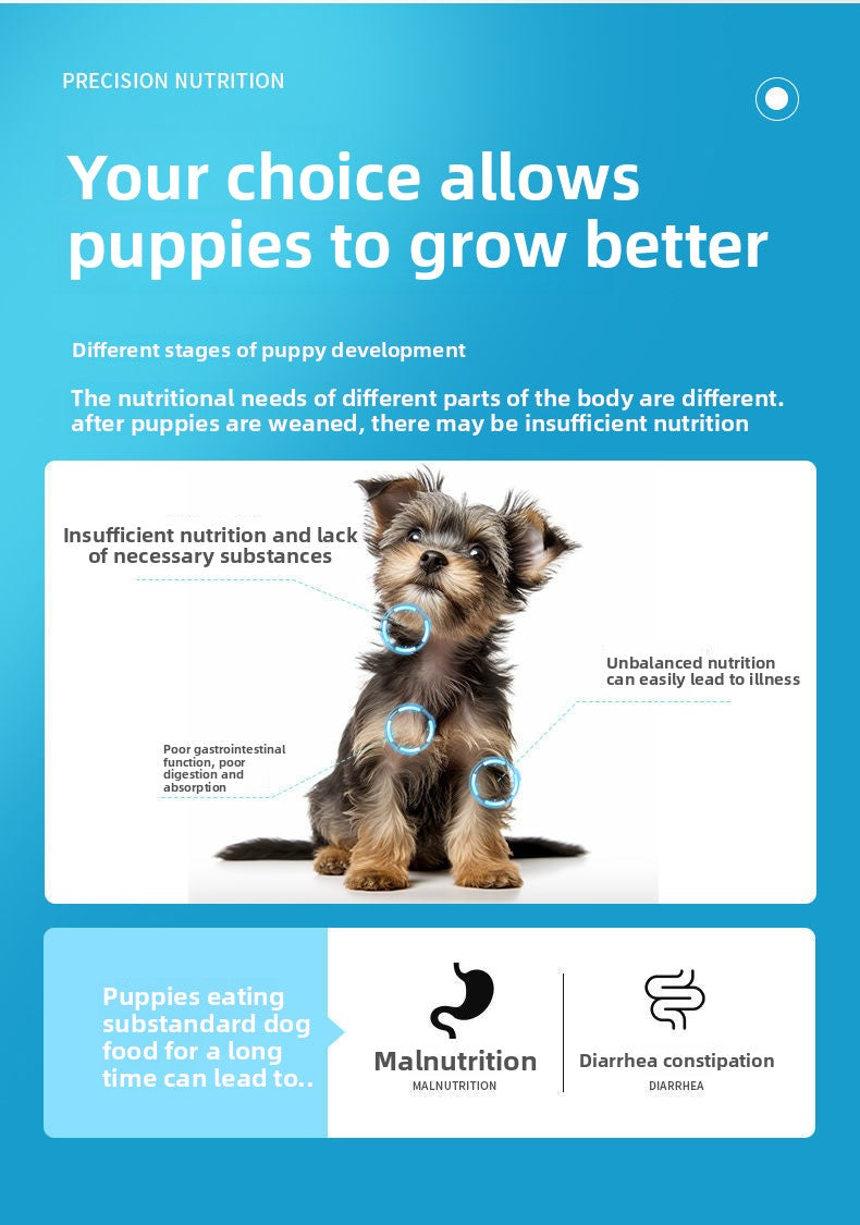 Puppy-Specific Dog Food Milk Cake Small Kibble for Small Breeds Teddy Puppy Food Golden Retriever Puppy Food Wholesale