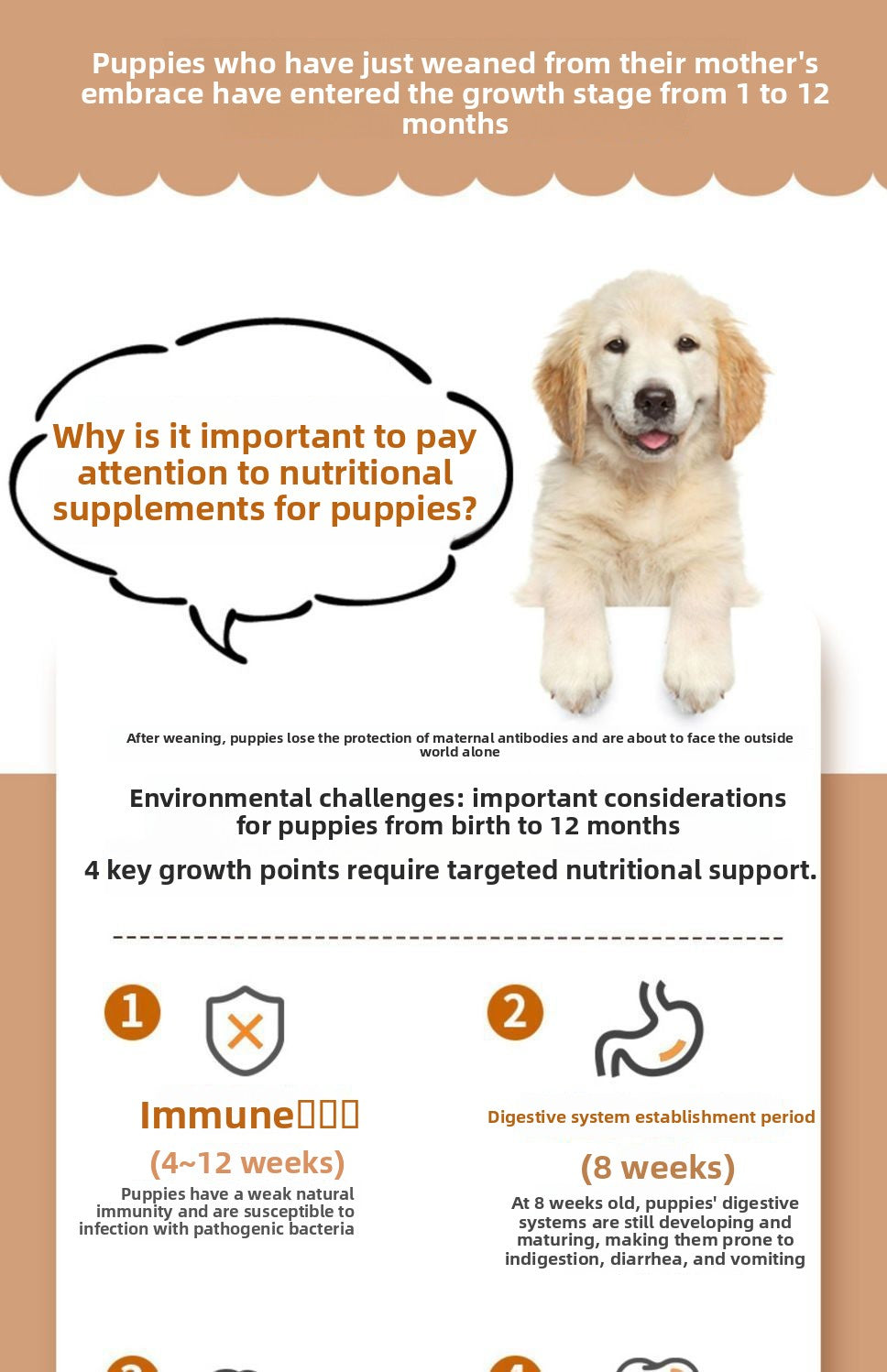 Puppy-Specific Dog Food Milk Cake Small Kibble for Small Breeds Teddy Puppy Food Golden Retriever Puppy Food Wholesale
