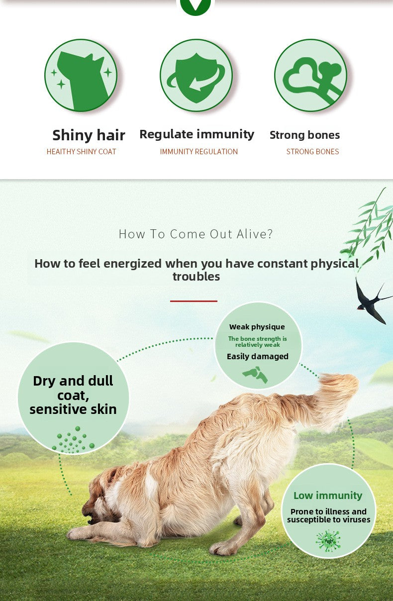 McFoody Algae Fun Beef & Spirulina Dog Food 2.5kg - Healthy Coat