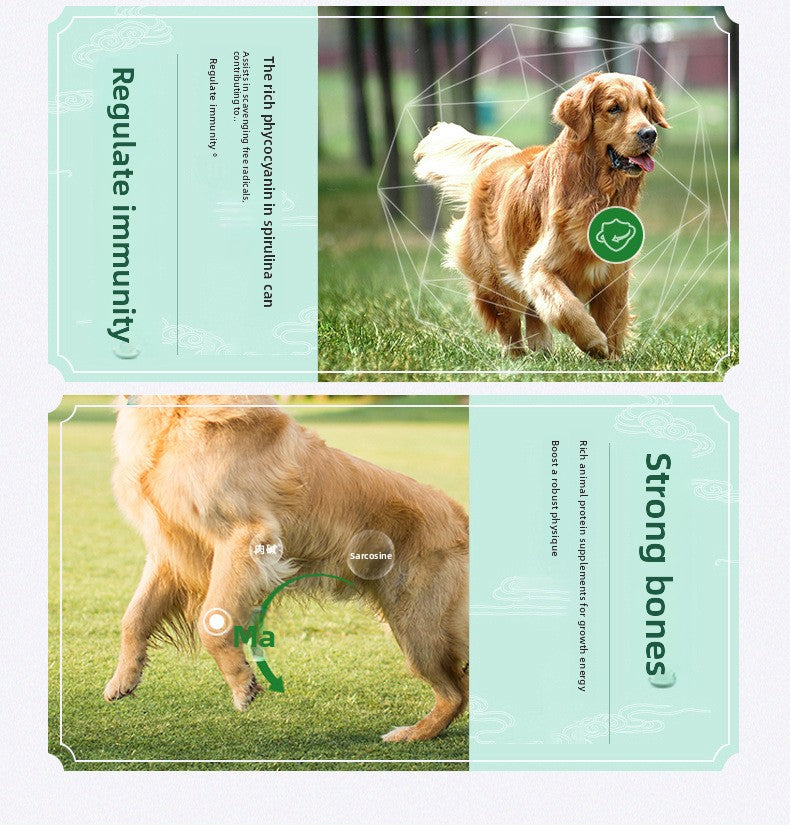 McFoody Algae Fun Beef & Spirulina Dog Food 2.5kg - Healthy Coat